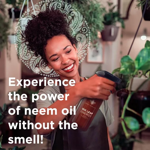 Miniatura 3 de Big Leaf Energy, Concentrado de Aceite de Neem + Aceites Esenciales para Plantas y Cuidado de Hojas - Orgánico, Sin OGM, Listo para Mezclar