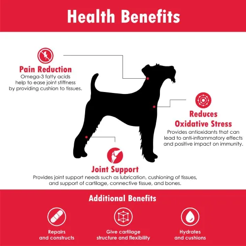 Miniatura 7 de ReMATRIX Suplemento de apoyo articular para perros, glucosamina, condroitina, MSM, omega-3, alivio del dolor de cadera y articulaciones y apoyo