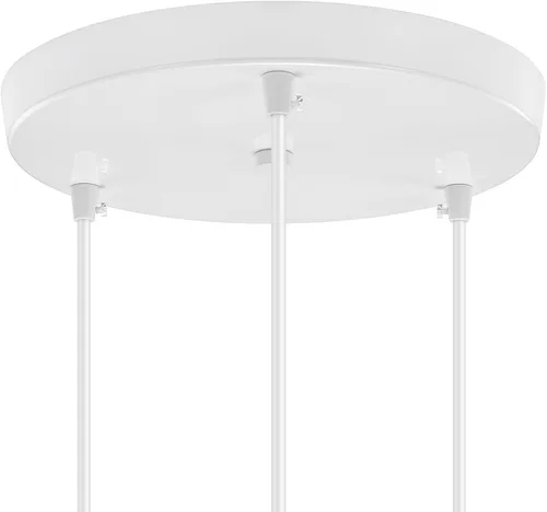 Kit de toldo de lámpara de araña Canomo de 10 pulgadas con placa de luz de techo y todos los accesorios, incluye gancho, sujetador de cable para