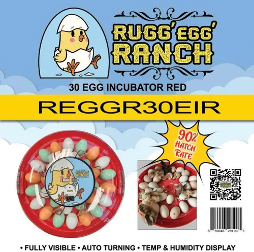 Miniatura 2 de Rugg'EGG' Ranch REGGR30EIR - Incubadora de giro automático con tapa transparente de 30 huevos con pantalla digital de temperatura y humedad