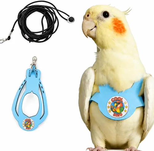 Miniatura 21 de Juego de arnés ajustable y correa para pájaros pequeños, apto para periquitos, conures, cacatúas, mejillas verdes, loros cuáqueros (verde, XS) 6350-6