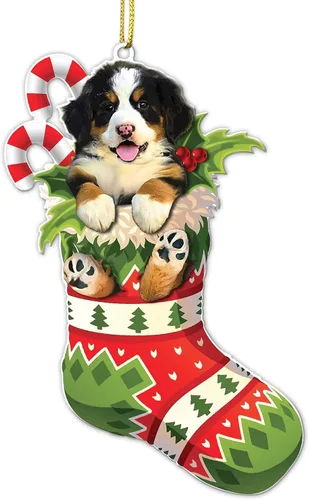 Adorno acrílico plano de Navidad para perro de montaña bernés, adorable cachorro de montaña bernés en calcetín con bastones de caramelo, decoración