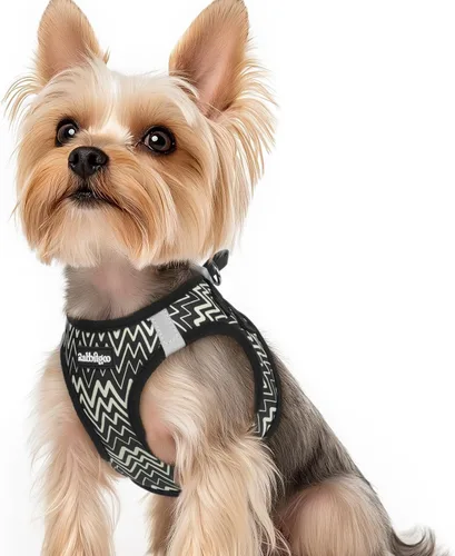 Miniatura 135 de rabbitgoo Arnés para perro pequeño, chaleco de malla suave para cachorros con hebilla de seguridad, arnés reflectante transpirable para mascotas