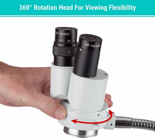 Miniatura 4 de AmScope - Microscopio estéreo binocular de aumento 8X con giro 360 - Dental, laboratorio, reparación electrónica, soldadura, tienda iluminador