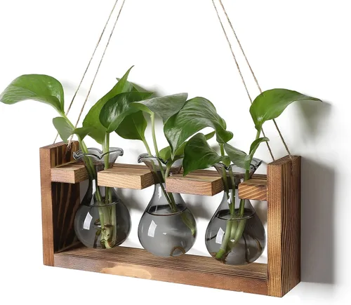 Miniatura 7 de Estación de Propagación de Plantas Terrario de Plantas Regalos Únicos de Cumpleaños para Mujeres Decoración para Hogar y Oficina Maceta con Soporte