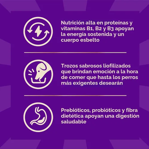 Miniatura 6 de Wellness CORE+ Alimento seco para perros con trozos liofilizados, sin granos, alta proteína, natural, receta de caza silvestre con pato, cordero