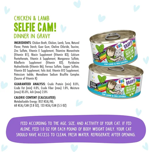 Miniatura 4 de Weruva B.F.F. OMG - ¡Mejor amigo felino, Oh Mi Salsa!, ¡Selfie Cam! con pollo y cordero en salsa, comida de gato, lata de 2.8 onzas (paquete de 12)