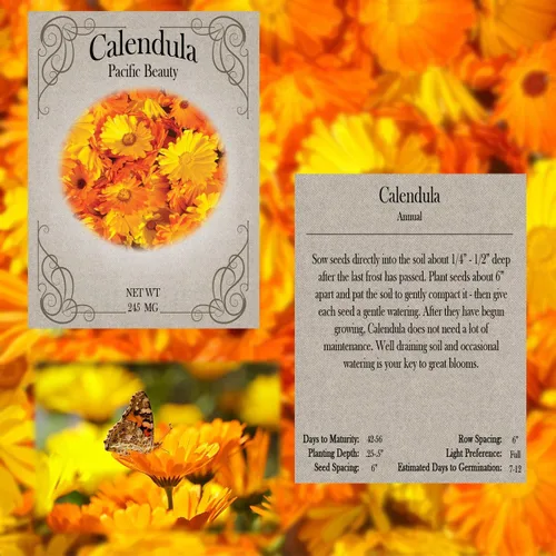Miniatura 2 de Juego de semillas de flores, variedades de flores de semillas de alta calidad sin OMG y reliquias para plantar, girasol, caléndula, lavanda y mucho