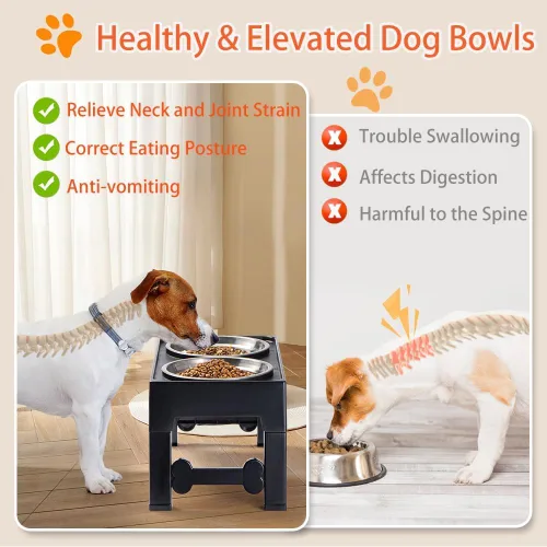 Miniatura 6 de Marchul Cuencos elevados para perros, cuencos elevados de agua para alimentos para perros con 2 cuencos gruesos de acero inoxidable, 4 alturas