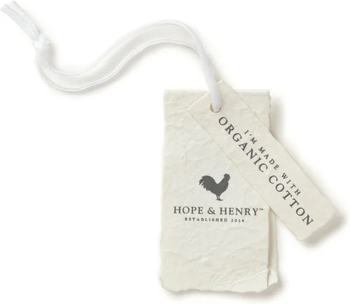 Miniatura 4 de Hope & Henry Boys' V-Neck Sweater Vest