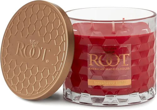 Miniatura 26 de Root Candles Velas perfumadas de cera de abeja Veriglass Premium, hechas a mano, mezcla de cera de abeja en panal, tamaño grande, vainilla francesa