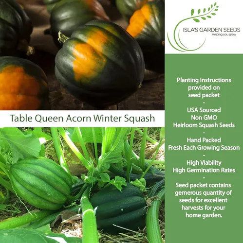 Miniatura 2 de Table Queen - Semillas de calabaza de invierno de bellota para plantar, más de 30 semillas de reliquia por paquete, semillas de jardín