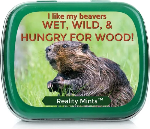 Miniatura 11 de Funny Statement Mints - Breath Fresheners for Adults - Mens Gag Gifts, Stocking Stuffers, Candy Basket Fillers - Sugar-Free - Pocket-Size Metal Tins