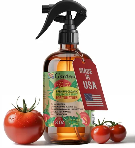 Miniatura 15 de GARDENERA Spray orgánico profesional de algas marinas para plantas AGLAONEMA – 8 oz – Rocío fertilizante de algas marinas y algas marinas totalmente