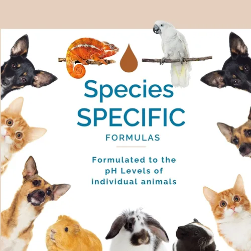 Miniatura 7 de Limpiador de jaula de conejillos de indias para animales pequeños sin aroma, espray para olores de mascotas para hámster y conejo
