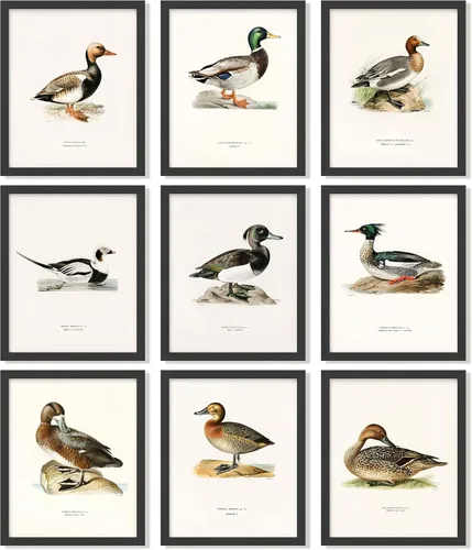 97 Decor Decoración de pato real para el hogar – Póster vintage de caza de patos, impresiones artísticas de pared de patos, decoración antigua de