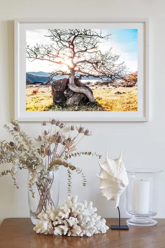 Miniatura 4 de Ashland Oregon Rogue Valley Nature Photography Wall Art Print