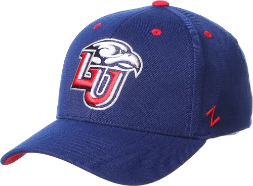 Miniatura 75 de ZHATS - Sombrero ajustado elástico para hombre de la NCAA, color del