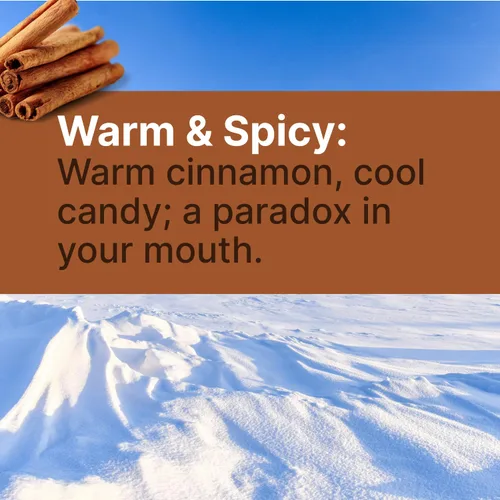 Miniatura 3 de SNØ Chips de caramelo de xilitol de canela Apoyo para la salud bucal Xilitol de abedul puro Sin azúcar, bajo en carbohidratos, apto