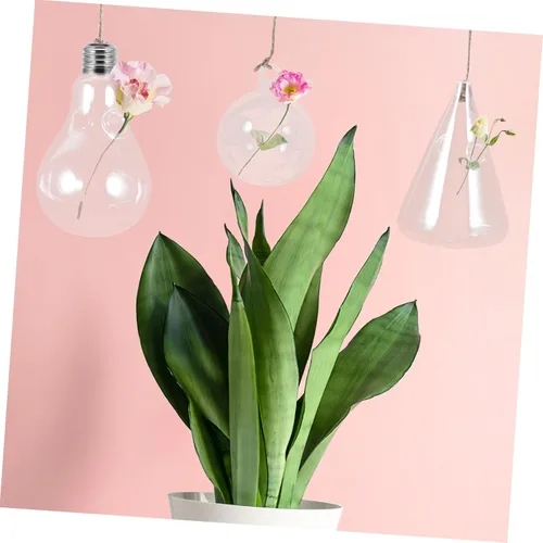 Miniatura 6 de BESTonZON 3Pcs Hanging Glass Planters Stylish Plant Holders Water Plant Containers for Home Decor for Terrarium and Succulent Display Smooth Surface