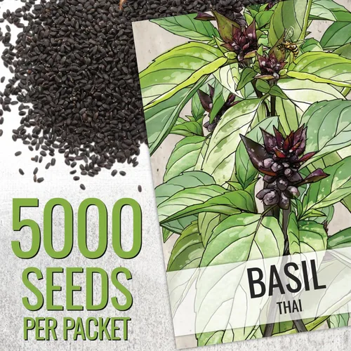 Miniatura 2 de Seed Needs Semillas de albahaca para plantar hierbas de albahaca tailandesa, reliquia sin OMG y sin tratar, cultiva un jardín de hierbas culinarias