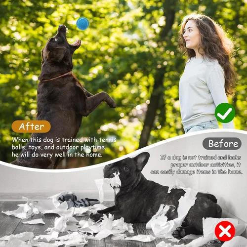 Miniatura 5 de Giantree Paquete de 20 mini pelotas de tenis para perros, pelotas de tenis pequeñas de entrenamiento de 2 pulgadas, pelota interactiva para perros