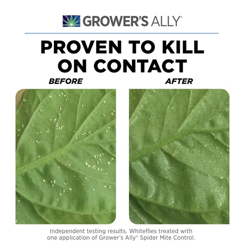Miniatura 2 de Grower's Ally Spray para Ácaros Araña - Insecticida Listo para Usar contra Insectos y Ácaros Araña para Plantas de Interior y Exterior - Spray