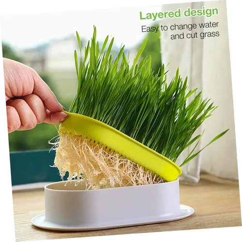 Miniatura 9 de IMIKEYA Caja de plantación hidropónica para gatos de interior, bandeja de cultivo de plástico, maceta para plantas de vivero, contenedores pequeños