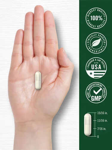 Miniatura 7 de Carlyle - Magnesio Glicinato con Ashwagandha Complejo de 2,740 mg 120 cápsulas vegetarianas Dúo potente Suplemento sin OMG y sin gluten