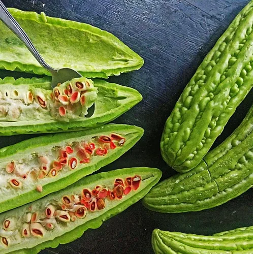 Miniatura 4 de 15 semillas de melón amargo: calabaza amarga reliquia, fácil de plantar (sin OGM)