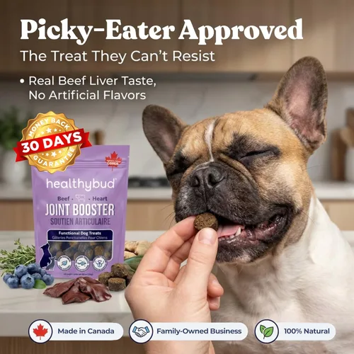 Miniatura 5 de healthybud Masticables suaves para cadera y articulaciones para perros, golosinas funcionales sin granos para perros con glucosamina, condroitina