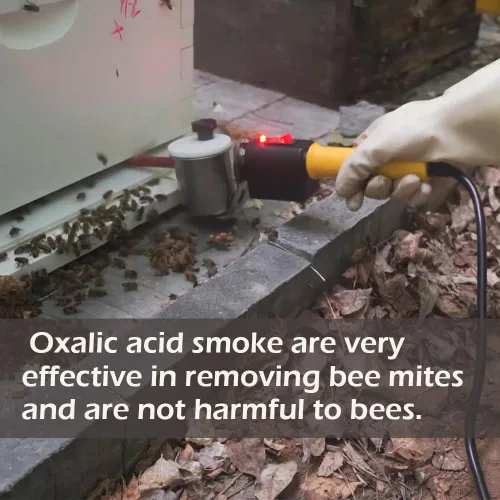 Miniatura 3 de Vaporizador de ácido oxálico, ácido oxálico atomizando equipo de apicultura para el tratamiento de ácaros de la colmena para abejas 12V 180W