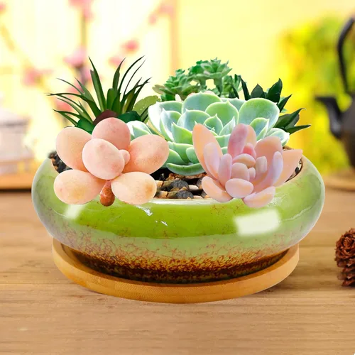 Miniatura 3 de Macetas de cerámica para bonsái de 7.4 pulgadas con bandejas poco profundas, macetas para suculentas con orificio de drenaje, macetas redondas Verde