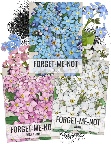 Miniatura 17 de Seed Needs - Semillas de Capuchina para Plantar Flores Comestibles - Juego de Colección de Mezcla Joya y Capuchinas de Doble Brillo para Atraer