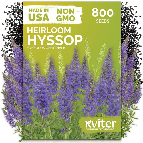 Miniatura 11 de KVITER 1000 semillas de quinua de cordero (Chenopodium Album) - Hierbas comestibles autóctonas, ideales para jardines de hierbas orgánicas