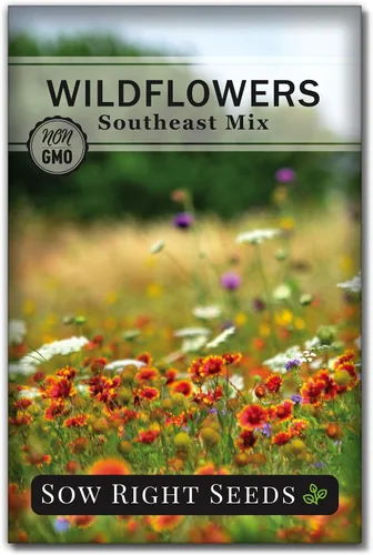 Sow Right Seeds - Mezcla de semillas de flores silvestres para plantar en el sureste - Variedades tradicionales sin OMG para cultivar un jardín de