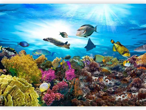 Miniatura 10 de artgeist Mural de pared premium mundo submarino, 98 x 69 pulgadas, papel tapiz no tejido XXL, decoración de pared de vellón, impresión fotográfica