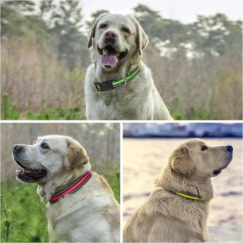 Miniatura 4 de PetJoy Paquete de 3 Collares para Perro - Hebilla de Liberación Rápida y Anillos en D - Multicolor Reflectante (R/A/V) - Ajustable de 8-27