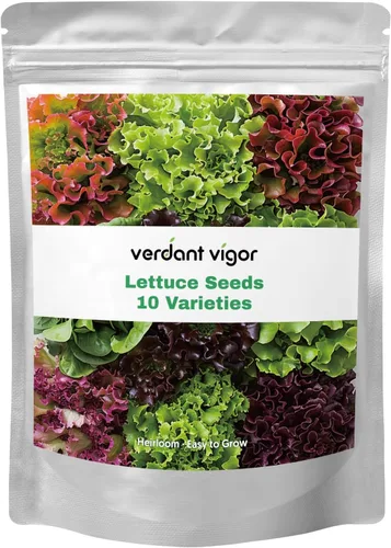 Más de 20.000 semillas de lechuga, semillas de vegetales tradicionales para plantar en interiores y exteriores, 10 variedades de verduras frescas