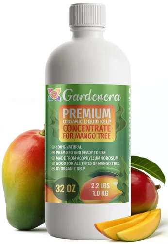 Miniatura 29 de GARDENERA Superalimento orgánico prémium de algas marinas y algas marinas para plantas AGLAONEMA, 8 onzas, concentrado de fertilizante líquido