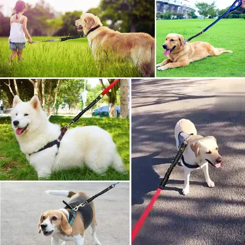 Miniatura 6 de Accesorio de extensión de correa elástica para perro, absorbente de extensión de plomo de 18 pulgadas, evita lesiones en el brazo y el hombro y Negro