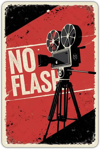 Retro Camera tin sign Vintage No Flash Metal Sign Print Aesthetic for Garden Yard Bar Porch Home Bedroom Kitchen Wall Decor Decor Gift 8 x 12 inch