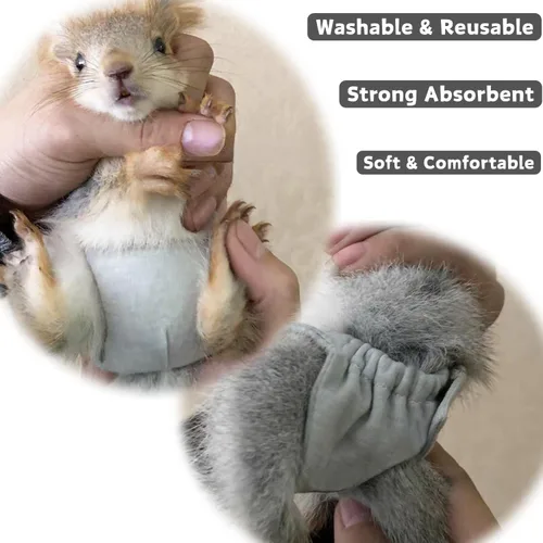 Miniatura 6 de Pañales lavables de ardilla – Pañales de tela reutilizables extra pequeños para mascotas, altamente absorbentes, a prueba de fugas, pantalones 3