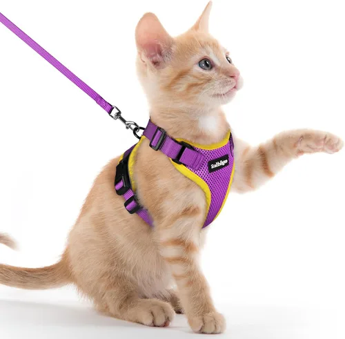 Miniatura 75 de rabbitgoo Juego de arnés y correa para gatos, arnés a prueba de escapes para paseos seguros al aire libre, chaleco suave transpirable ajustable