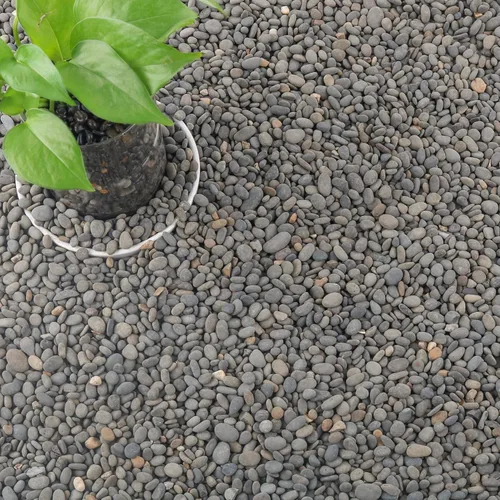Miniatura 9 de Black Rock, CJGQ - Piedras de río de 3 libras para plantas suculentas, rocas decorativas para jardines de paisajismo al aire libre, piedras