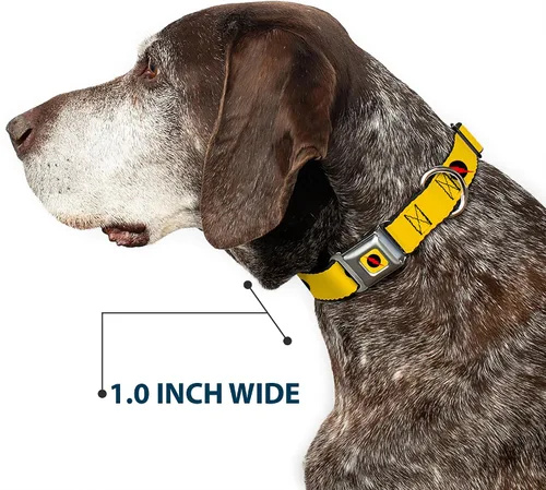 Miniatura 6 de Buckle-Down Collar de perro con hebilla de cinturón de seguridad, logotipo de flash reverso, amarillo dorado, negro/rojo, 1 pulgada de ancho, se