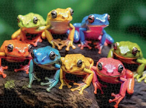 Miniatura 5 de Cross & Glory - Rainbow Ribbit: Frog Ensemble - Rompecabezas de 1000 piezas para adultos Rompecabezas vibrante Calidad premium Obra de arte
