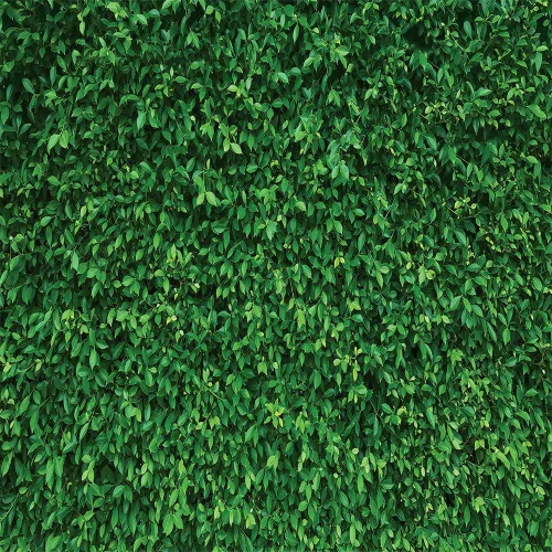 Miniatura 9 de Fondo de pared de césped, hojas verdes, césped, fiesta, fotografía, decoración vegetal, cumpleaños, baby shower, boda, 5 x 3 pies PCK39A