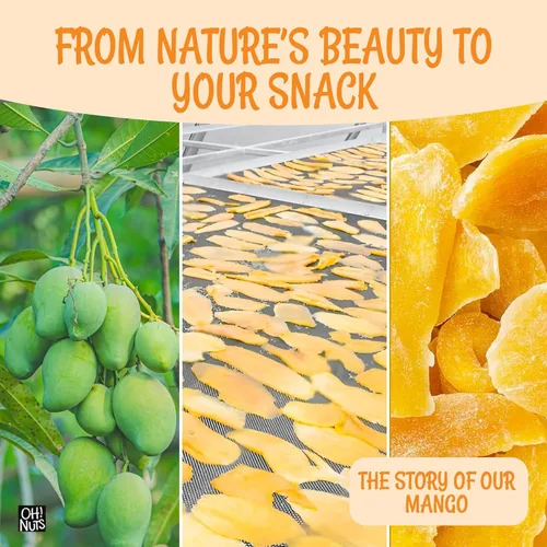 Miniatura 6 de Oh! Nuts Mango seco – 1 libra – Rebanadas de frutas secas – Menos azúcar añadido – Bocados de frutas deshidratados – Empaquetado en bolsa de cierre