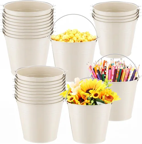 Rtteri 24 cubos pequeños de metal con asa, mini cubetas a granel para lápices para aula, graduación, fiestas, canastas de hierro para flores de